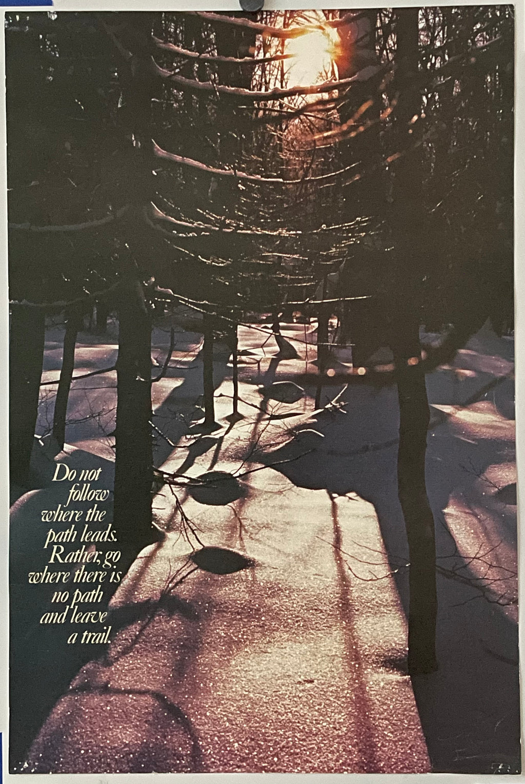 Do Not Follow Where the Path Leads. Rather Go Where There is No Path and Leave a Trail. (#887)
vintage ARGUS Communications poster
