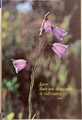 Vintage poster featuring a close-up of purple campanula flowers with the text 'LOVE DOES NOT DOMINATE; IT CULTIVATES' at the bottom.