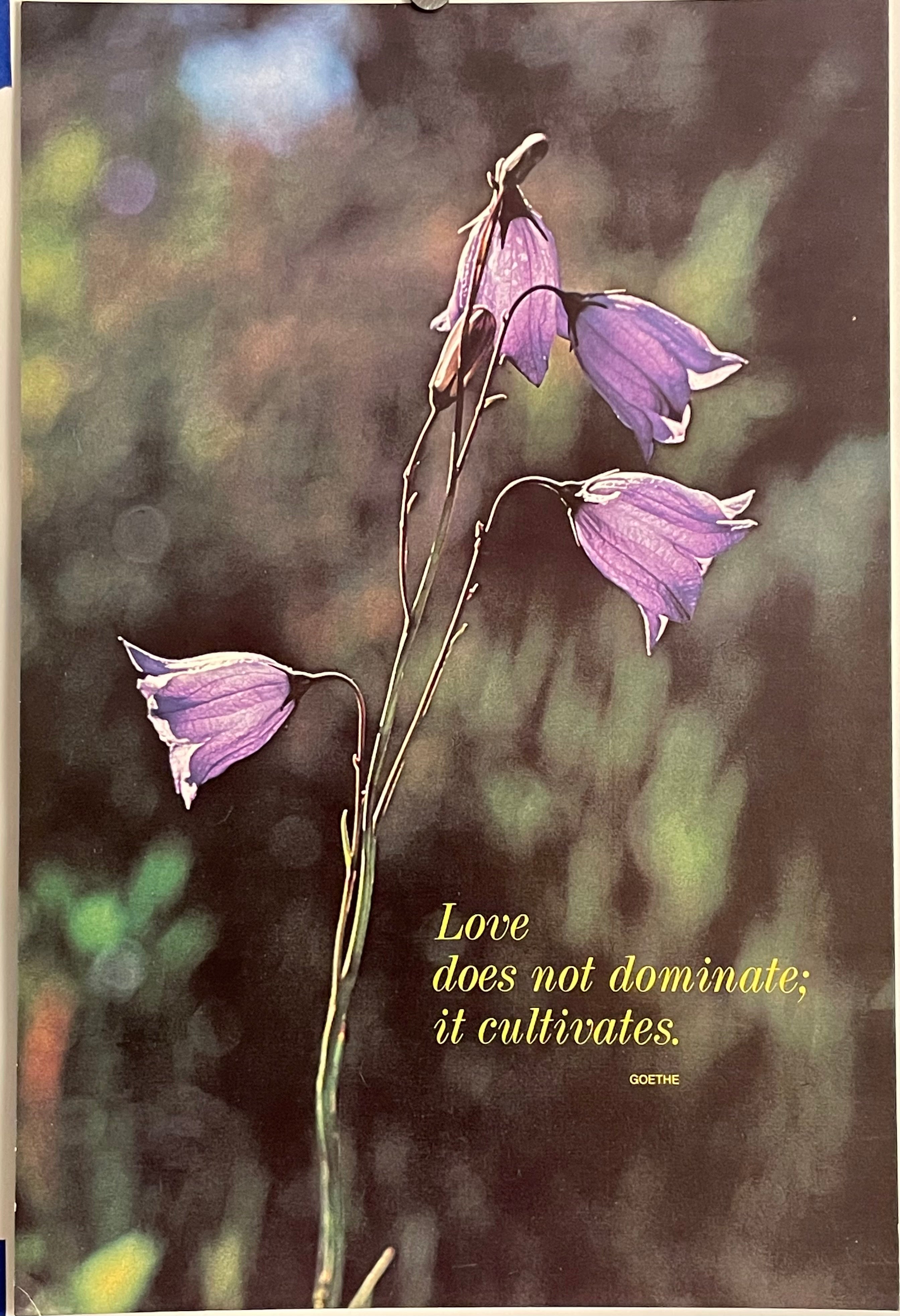 Vintage poster featuring a close-up of purple campanula flowers with the text 'LOVE DOES NOT DOMINATE; IT CULTIVATES' at the bottom.