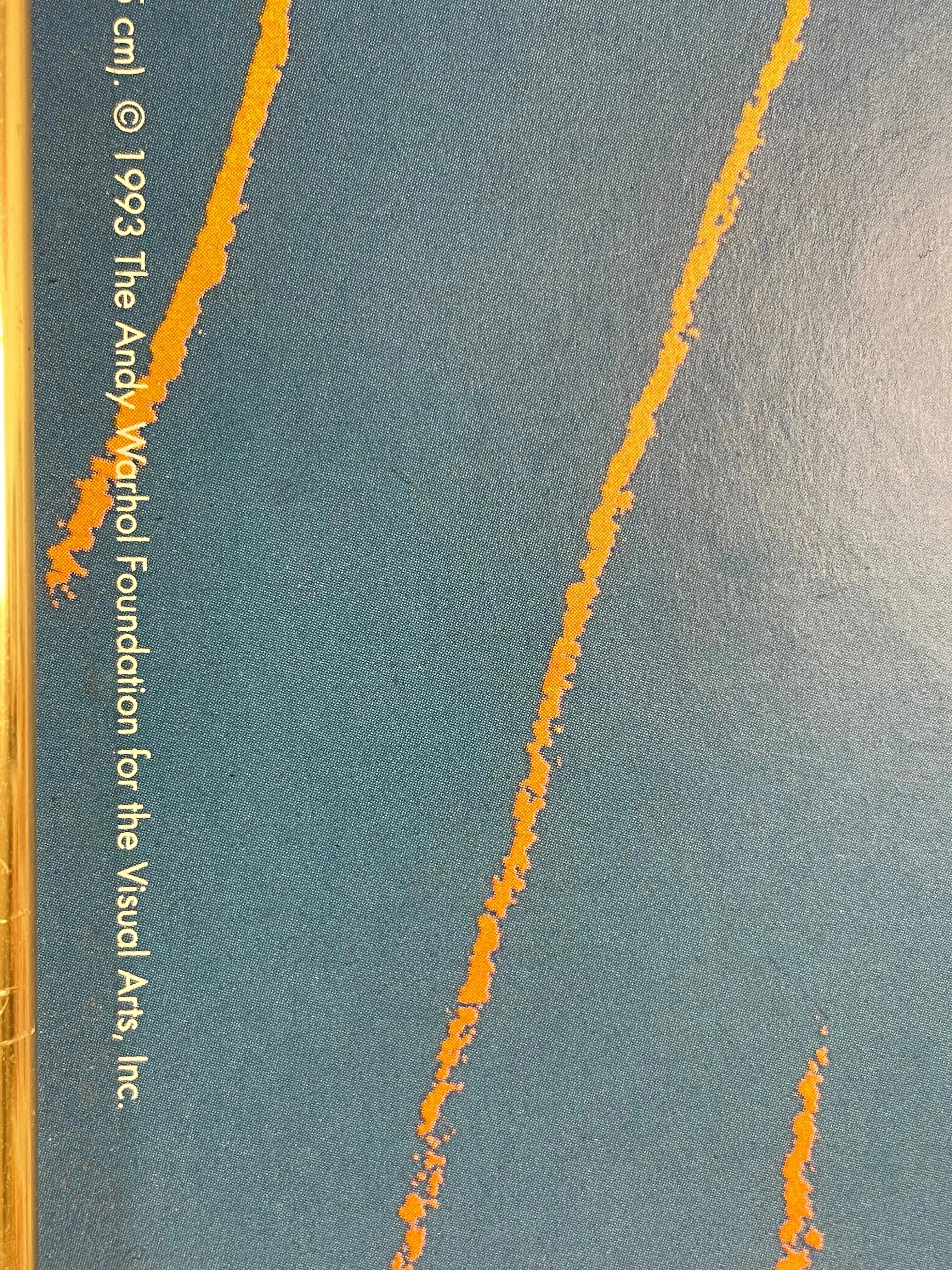 Goethe AP 7/22, by Andy Warhol, color offset/paper, 1993 Happiest Kid Finds