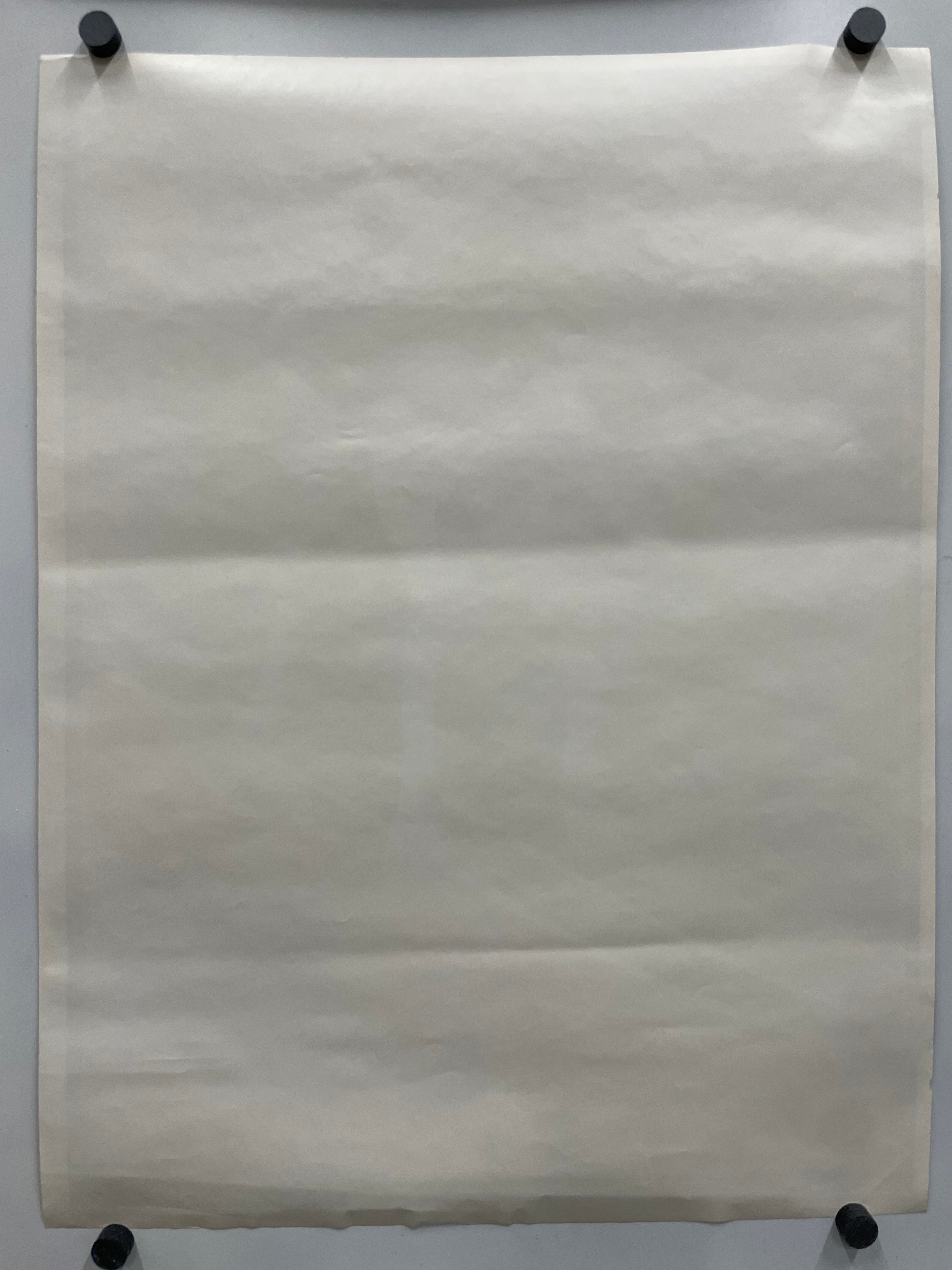The back of the HANG TWENTY poster.