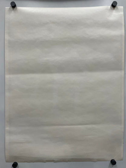 The back of the HANG TWENTY poster.