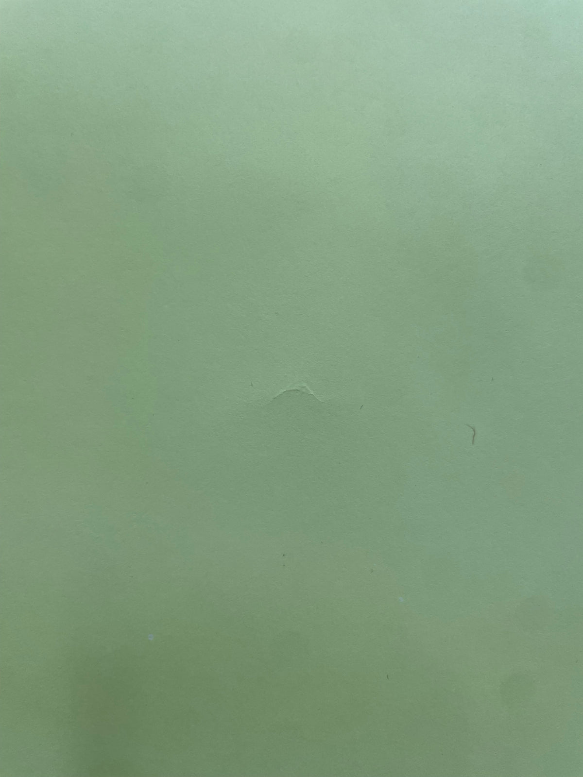 A close-up of a faint central crease on the face.