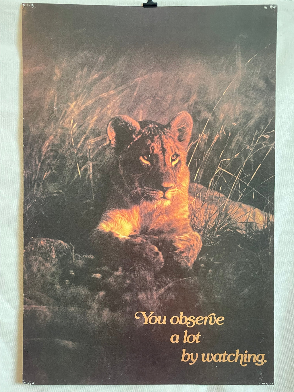 You observe a lot by watching., vintage Argus Communications Poster | Happiest Kid Finds