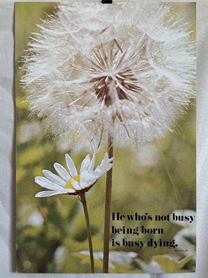 He who's not busy being born is busy dying  Vintage Argus Communications Motivational Poster 1970s | Happiest Kid Finds