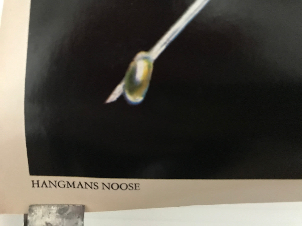 Hangmans Noose, vintage anti-drug poster, distribution by Encore Art Prints, c.1970 - HAPPIEST KID FINDS - Museum-quality antique and vintage posters, original art, preservation and restoration