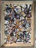 Garden Variety. 7, original painting collage, 2019 - HAPPIEST KID FINDS - Museum-quality antique and vintage posters, original art, preservation and restoration